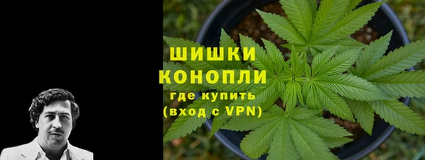 ГАЛЛЮЦИНОГЕННЫЕ ГРИБЫ Володарск