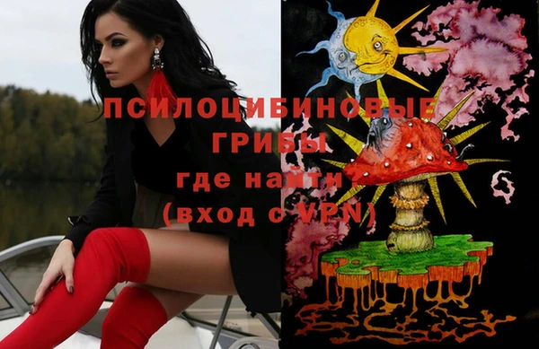 ПСИЛОЦИБИНОВЫЕ ГРИБЫ Волосово