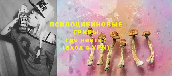 ПСИЛОЦИБИНОВЫЕ ГРИБЫ Волосово